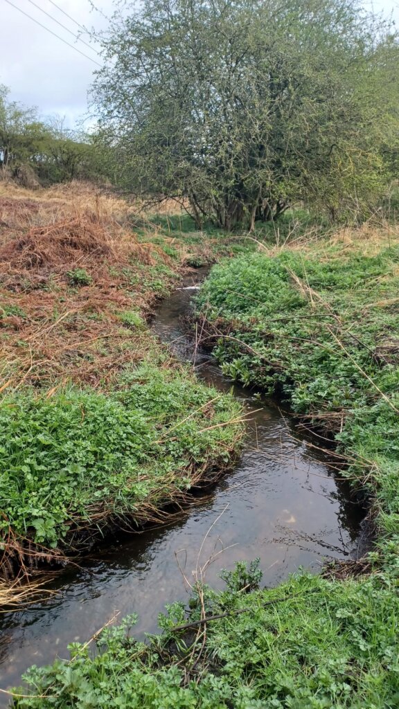 A close up look at the river channel, taken at Vicar Water